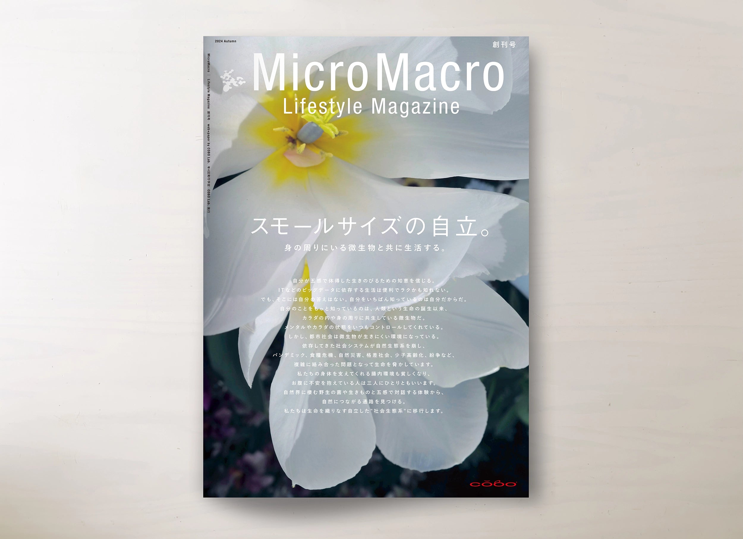 Micro Macro Lifestyle Magazine 創刊号